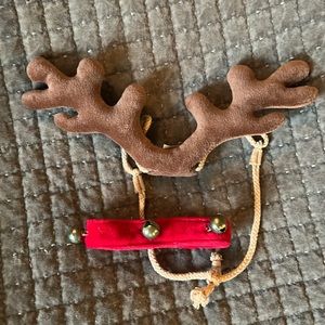 BAB reindeer antlers, nose, and bell collar